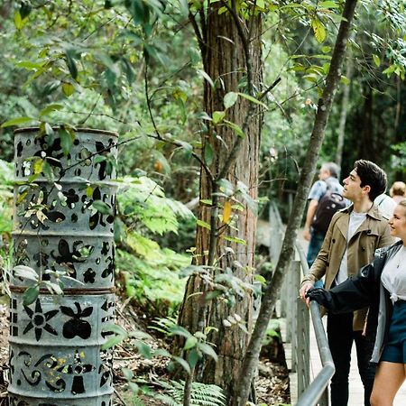 Blue Lyrebird Living Blue Mountains Hostel Katoomba Exterior photo