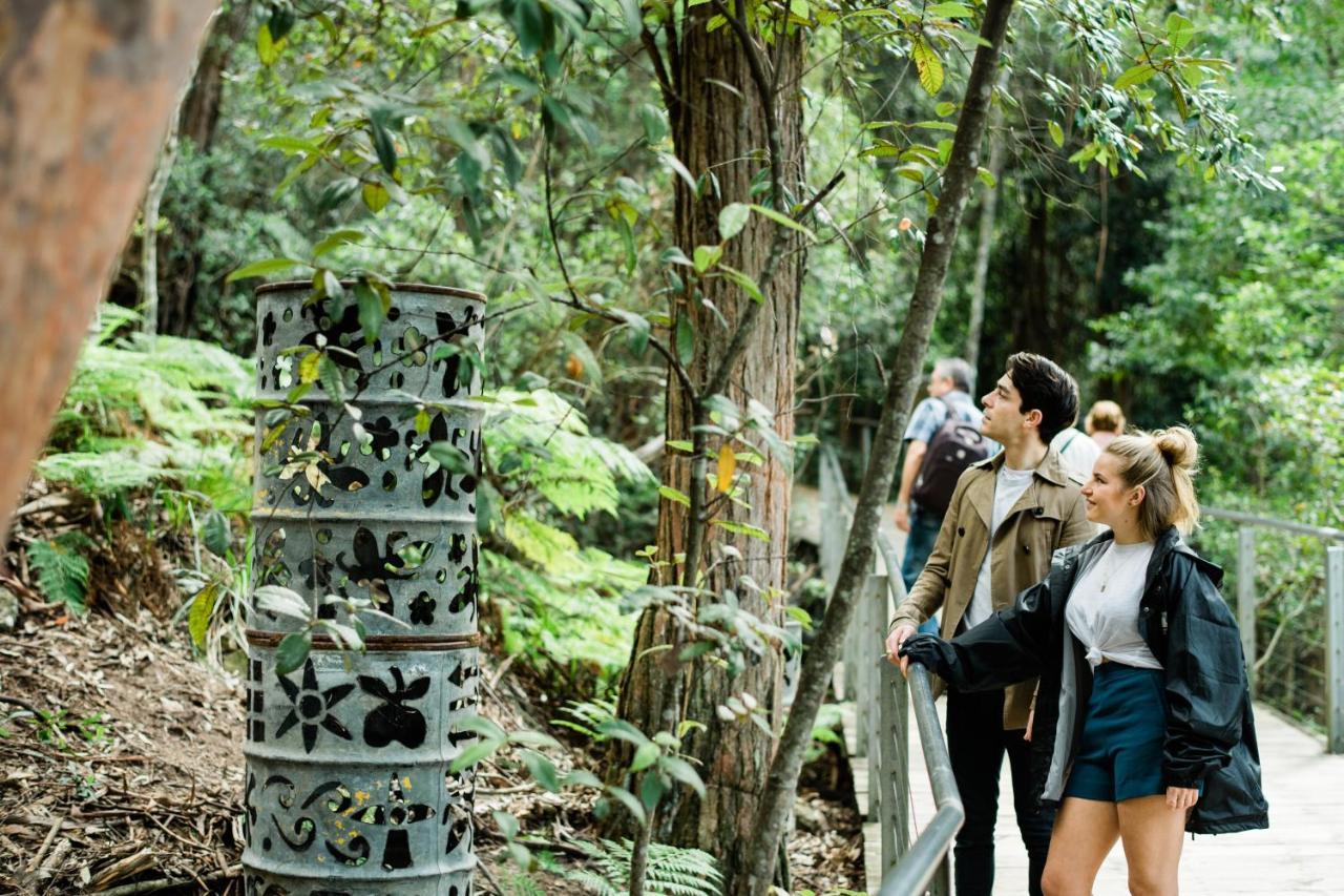 Blue Lyrebird Living Blue Mountains Hostel Katoomba Exterior photo